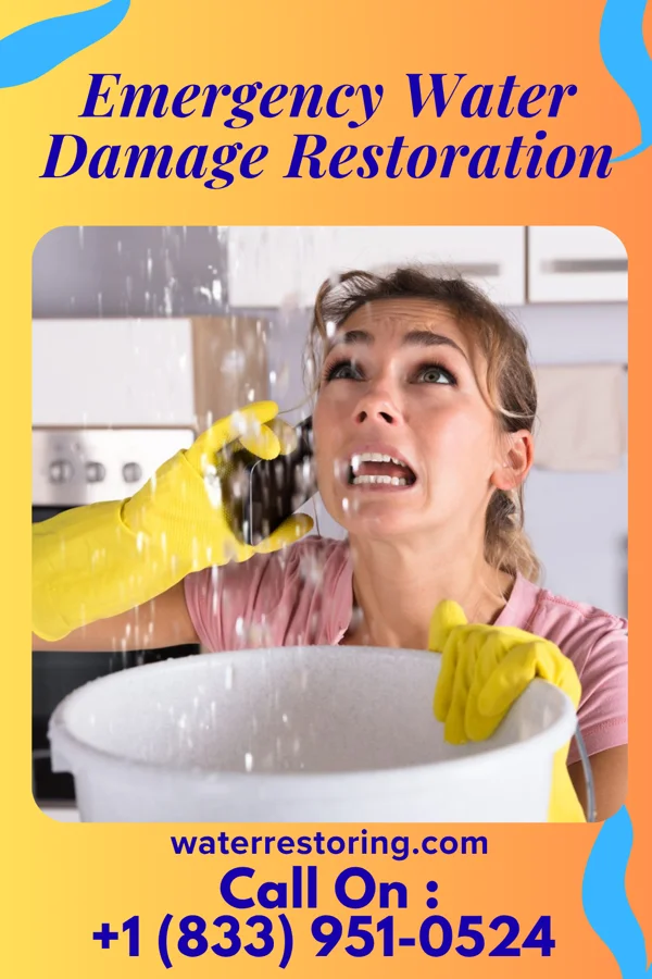 Emergency Water Damage Restoration in Ruthville, ND