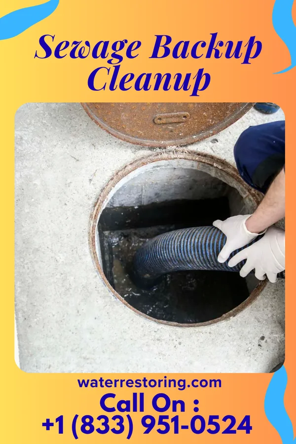 Sewage Backup Cleanup in Ruthville, ND